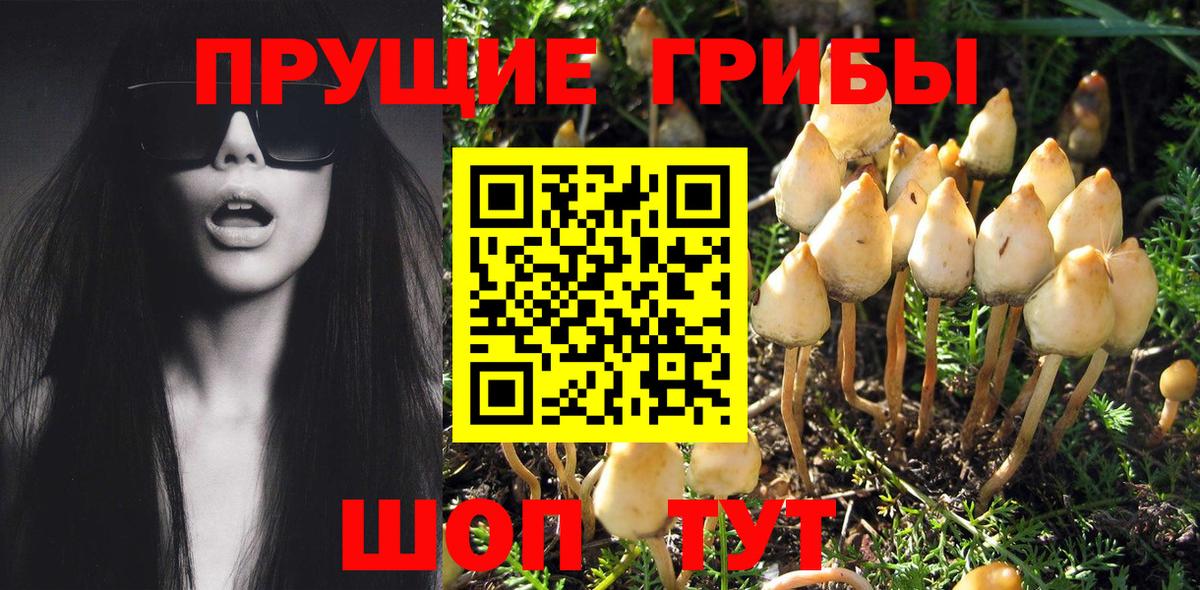 Грозный  Меф  ЭКСТАЗИ  ГАШ  Кокаин  Меф МЯУ МЯУ кристаллы  Каннабис  Вход с VPN  ГАШИШ 