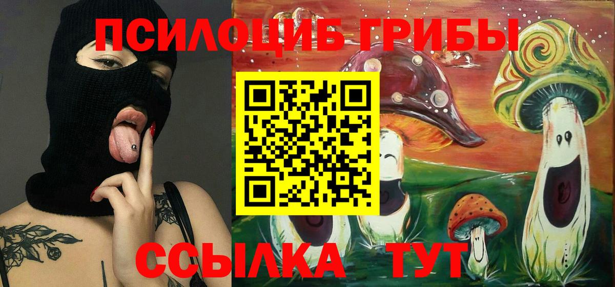 Псилоцибиновые грибы мухоморы  Вход с VPN  Грозный 