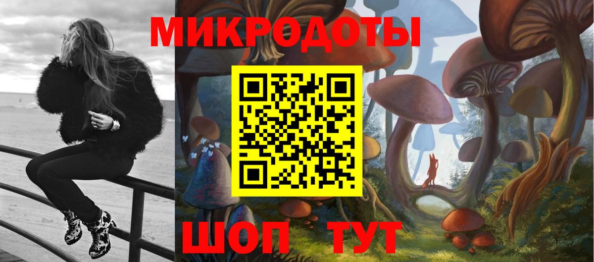 Псилоцибиновые грибы мицелий Грозный